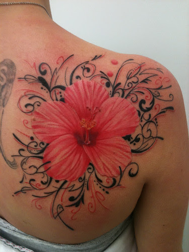 Hibiscus by bennett edwards Hibiscus by bennett edwards