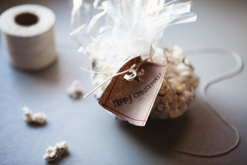 popcorn6 copy
