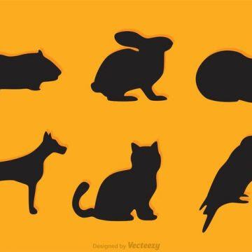 Download Guinea Pig Silhouette at GetDrawings | Free download