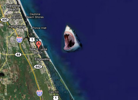 Surftherenow Com New Smyrna Beach Asserts Itself As Shark Attack Capital Of World