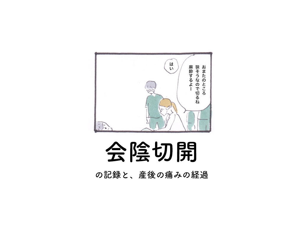産後１ヶ月続いた痛み 会陰切開の記録 すそのの日々 子育てと家づくりのブログ