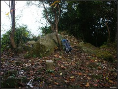 DSC03999