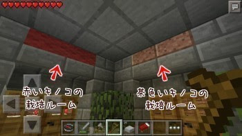 キノコ栽培ルームをつくりました Minecraft Pe サトリ村だより