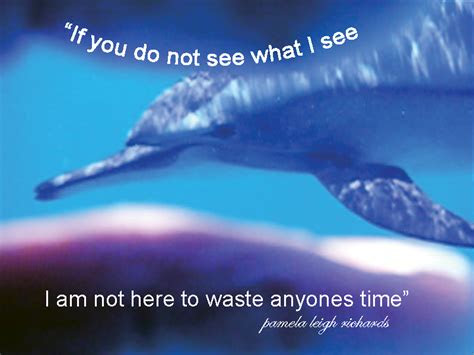dolphin   sea quotes quotesgram