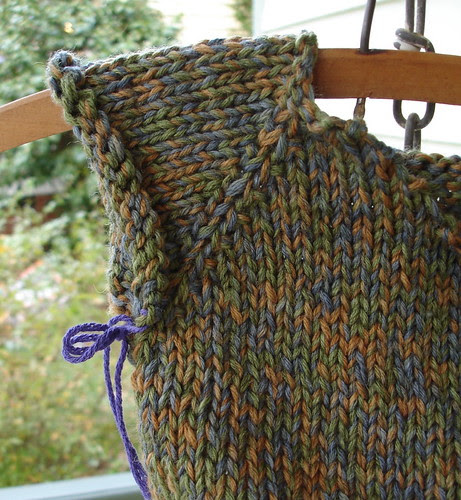 mossy cardi 1