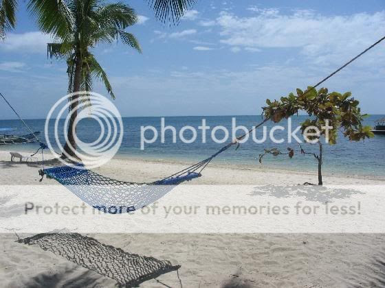 Image hosted by Photobucket.com