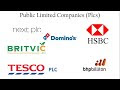 √ a public limited company (plc) 206910-Plc public limited company