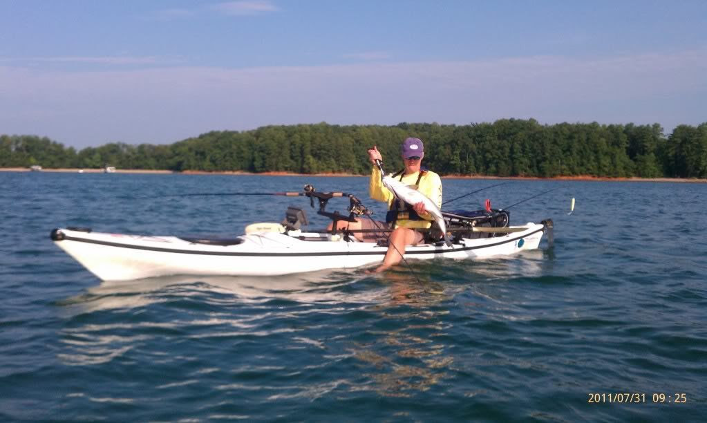 White Hurricane Phoenix P160 For Sale | Lanier Area Kayak ...
