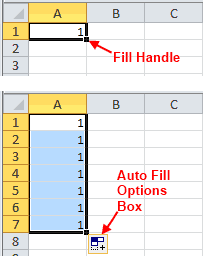 Excel Cell Fill Handle and Autofill Options Box