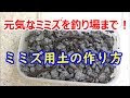 25 ++ イトミミズ 増やし方 347681-イトミミズ 増やし方