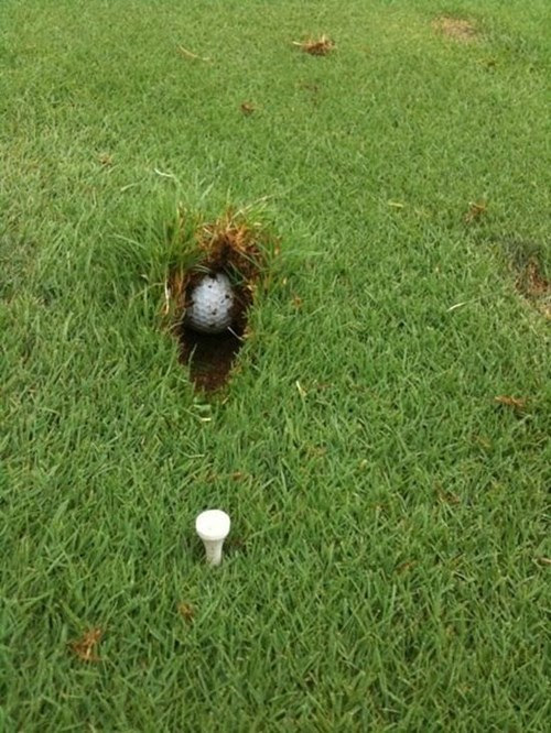 funny-fail-pic-golf-mulligan