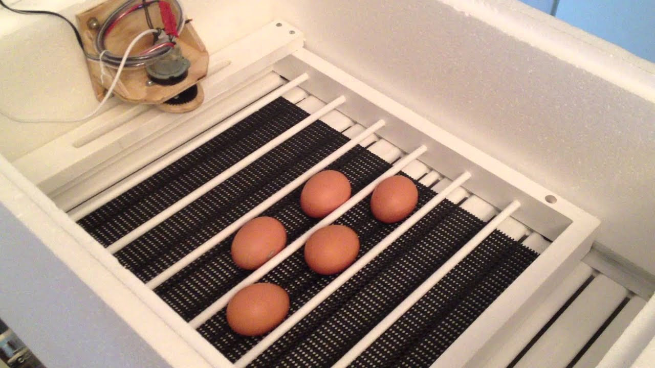 DIY automatic egg turner, IncuKit DC12 - YouTube