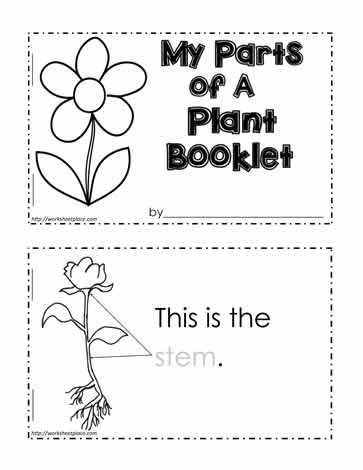 For kindergarten math worksheets plants theme preschool