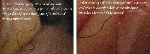 What exactly do split ends look like? | Long Hair Care Forum