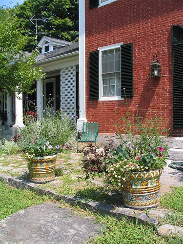 West Terrace-Summer 2005