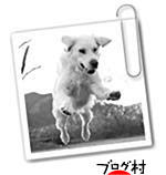 にほんブログ村 犬ブログ ゴールデンレトリバーへ