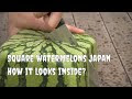 more Things That Exist solely in Japan