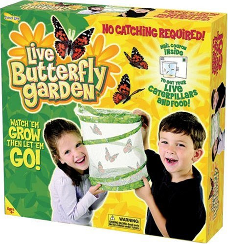 Insect Lore Live Butterfly Garden