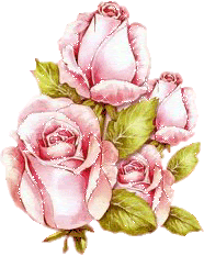 botomes.rosa