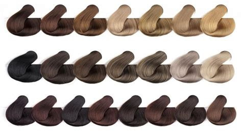 Espresso dove dove nutritive solutions color care shampoo dove dove nutritive solutions color care conditioner 3. the home hair color spectrum decoded at home hair color brown hair