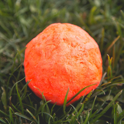 Project Play Wunderball: Get a Toy, Give a Toy to Shelter Dog In Need!