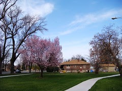 DSC02020
