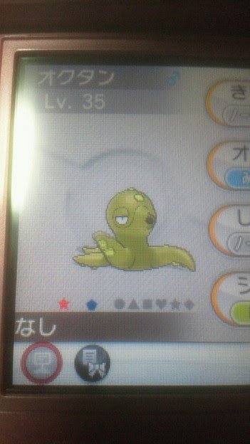 オクタン 色 違い