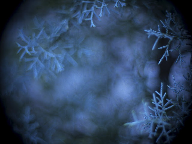 _C104847