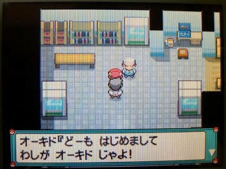 ポケモン プラチナ５５日目 ｉｎパルパーク うさぎ愛好会 旧
