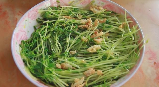 适合懒人种植的豌豆苗 1个花盆 5个步骤 豌豆苗