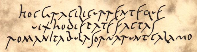Ficheiro:Hocgracili.jpg