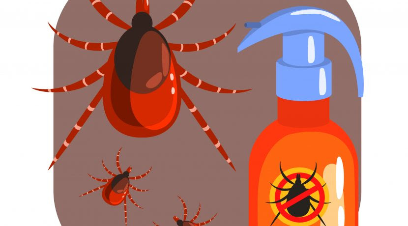 ダニの温床になりがちな観葉植物 自分でできる方法で退治しよう ダニは嫌だに