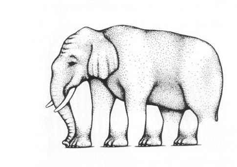 Elephant Legs