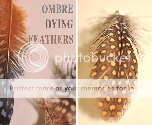 Ombre Dying Feathers by (Indie) Pretty Projects