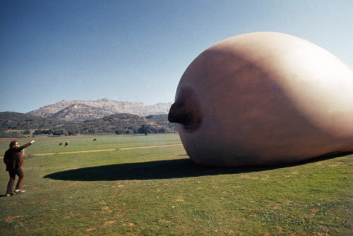 http://24.media.tumblr.com/tumblr_lks8yw5Irw1qi97xgo1_r1_500.jpg