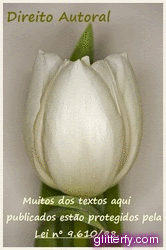 Direito Autoral