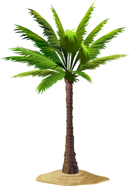 Пальма PNG