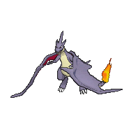 Est S Blog ｏｒａｓ さみしがり竜舞メガリザードンｙ 配分 考察