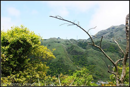DSC02591