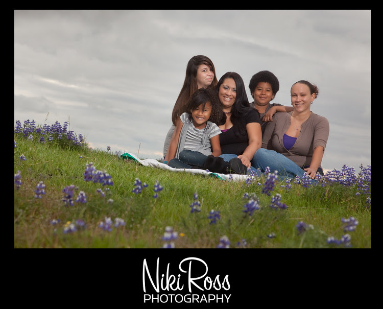family-purplelupin