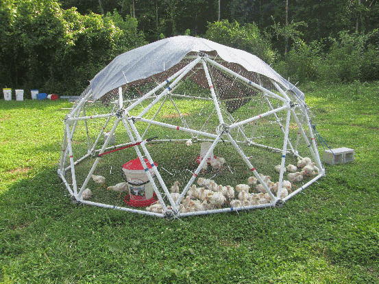 Chicken Coop Kits for Sale | Geodesic Chicken Coops by Zip ...