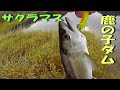 コンプリート！ 北海道 バス釣り スポット 176957-北海道 バス釣り スポット