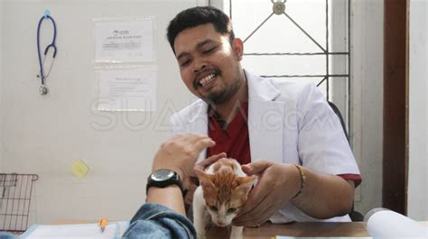 indonesia kekurangan  ribu dokter hewan