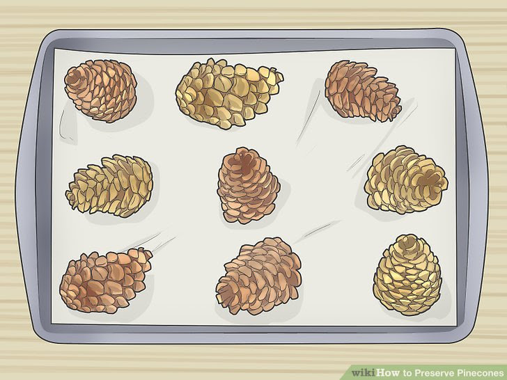 Preserve Pinecones Step 7 Version 2.jpg