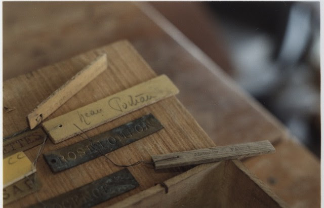 Sunday Drive ; summer 2011 ~ #2