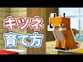 猫 マイクラ 餌 338438-猫 マイクラ 餌