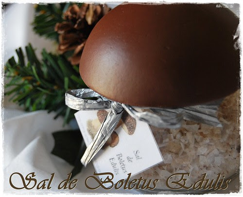 Sal de boletus0 TC