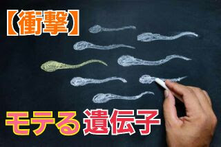 モテる男は遺伝子が優秀 本能的に女子にアプローチする方法 テストステロンでモテるブログ