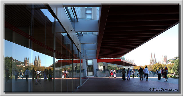 Museo Evolución Humana 39