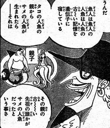 One Piece 魚人と人魚に関する考察 その1 我思う故に 新館我思う故に 新館